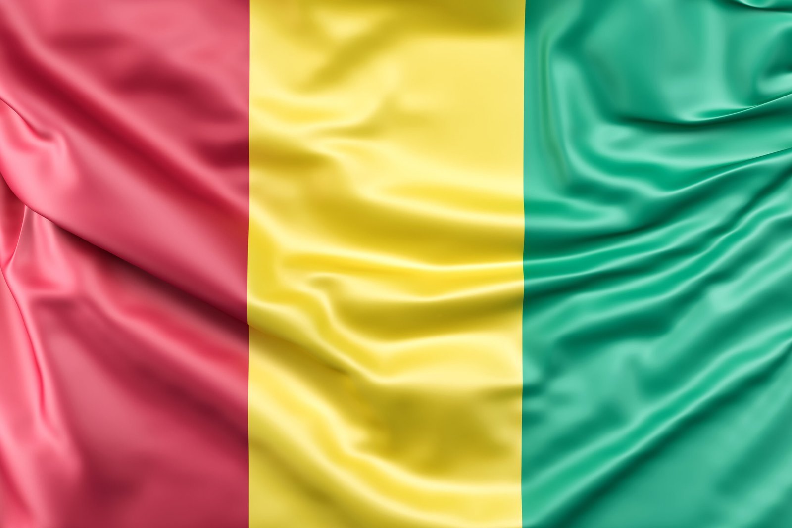 Transport effets personnels afrique 6 Flag guinea scaled 1